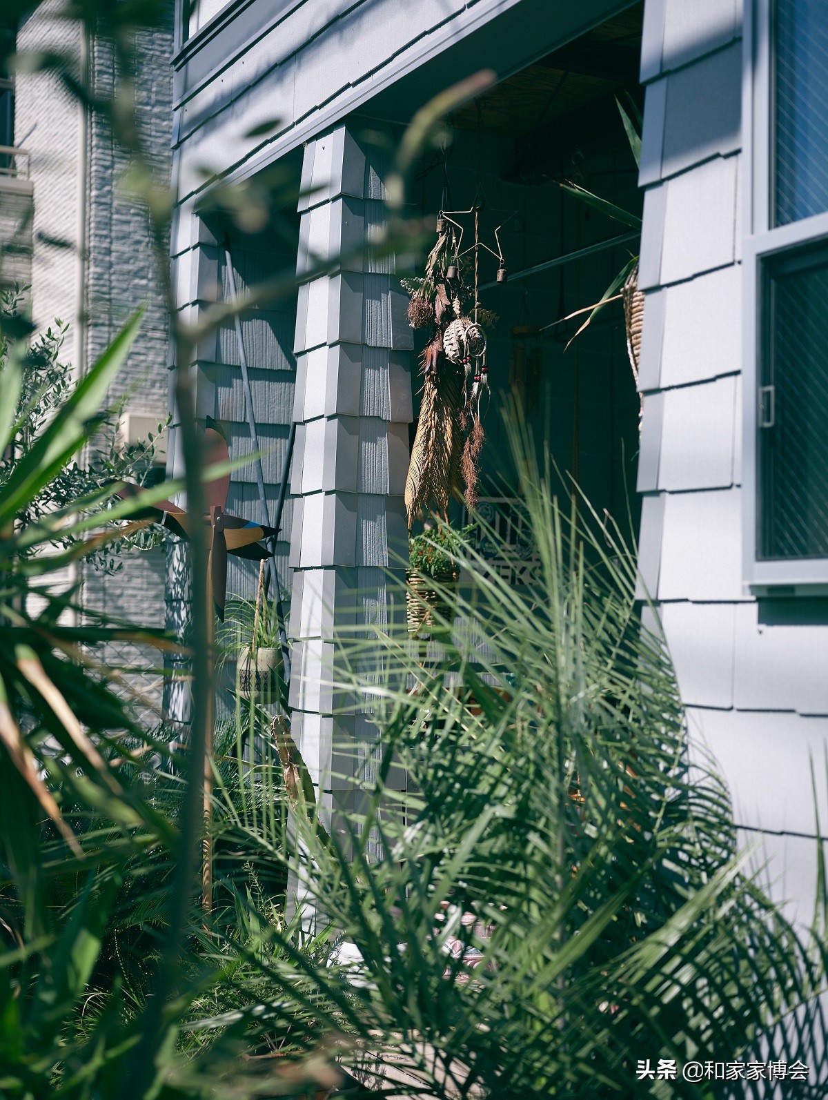 绿色植物助力“邻里关系”| 美式风格的老房翻新装修