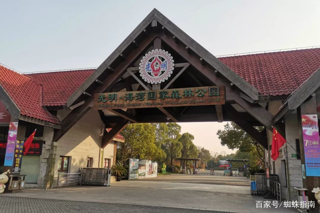 上海金秋去哪玩？必打卡这6个宝藏旅行地，遇见魔都最美的秋色