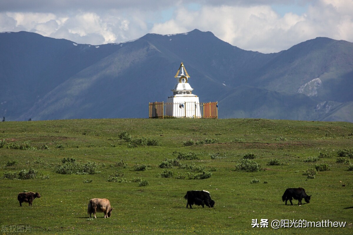 蒙古国库苏古尔省草原一望无际牛马成群一片祥和