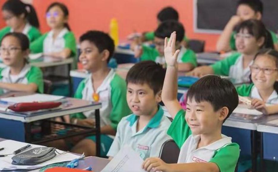 三年级小学生考291分，家长朋友圈炫耀，网友泼冷水：等初中再看