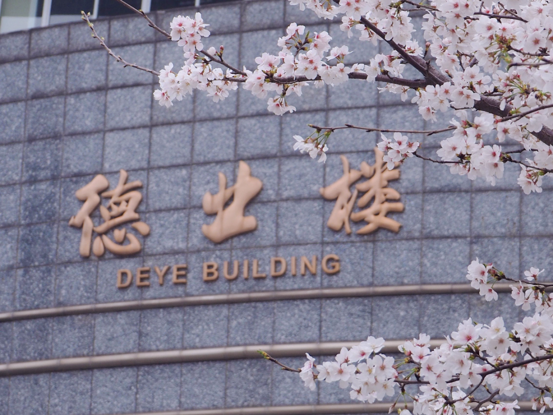 短短一年，南京这所高校：接连斩获国家级、国际级大奖，实力超强