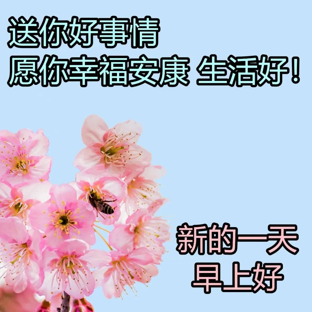 阳光洒在心中，惊醒一帘幽梦；问候如沐清风，蓝了朗朗晴空