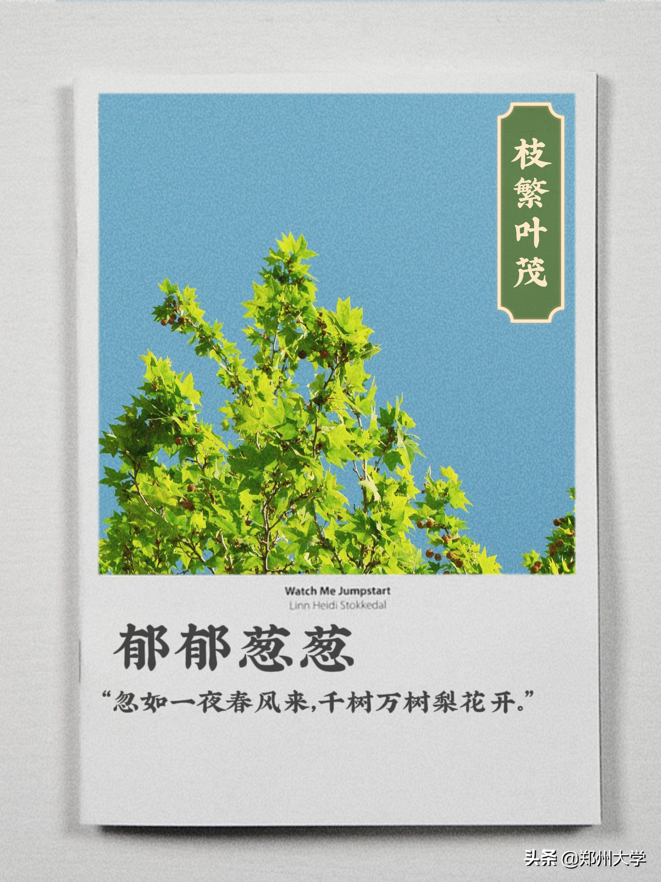 翻开郑大春日书单，一起看看春日的郑大吧！