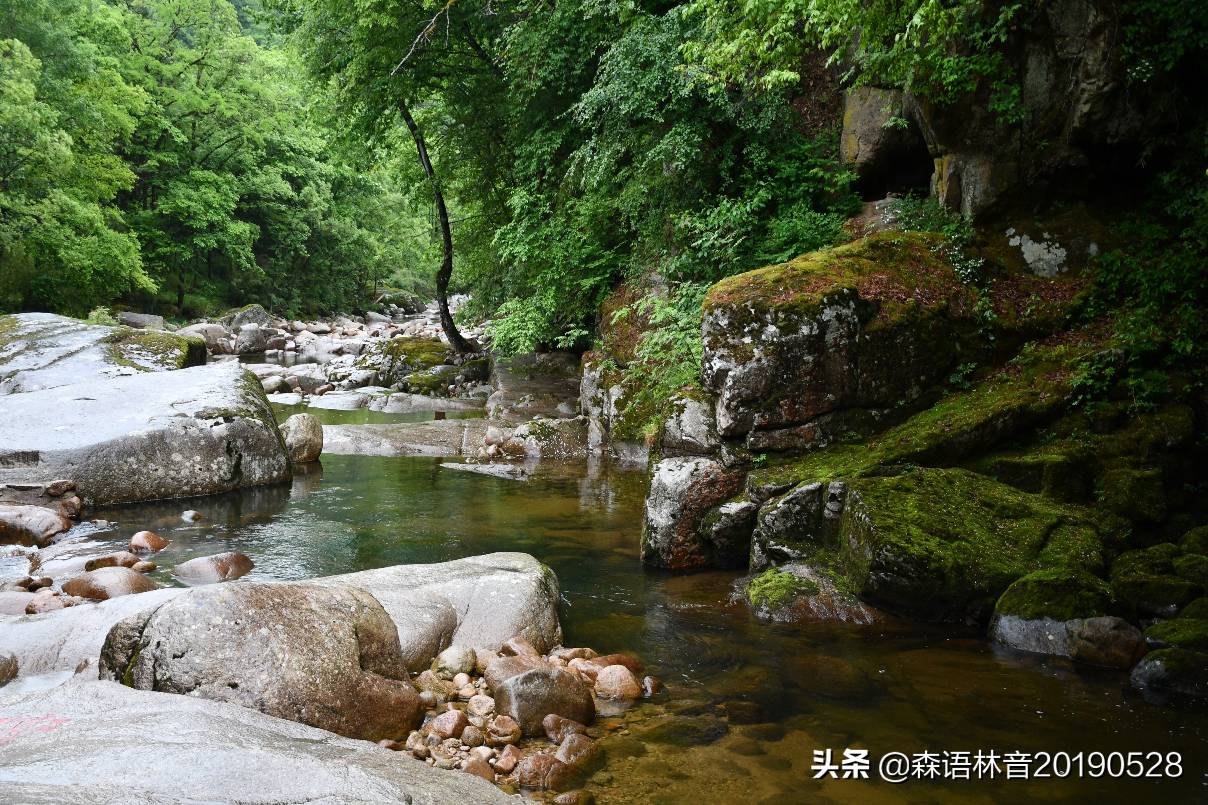 烟雨通天河 丹青水墨画——送你一个夏天“趣”通天河的理由