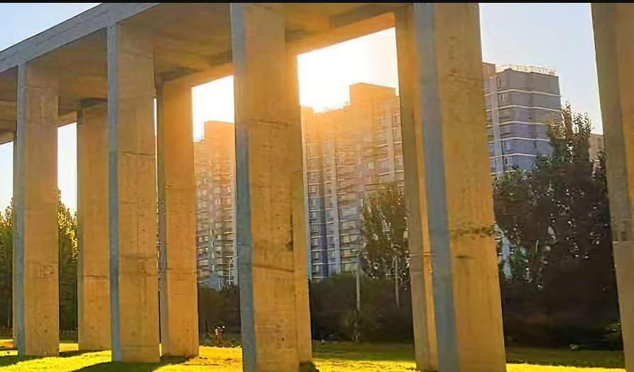 被称为“官校”的3所大学，毕业生多在政府工作，录取分数特别高