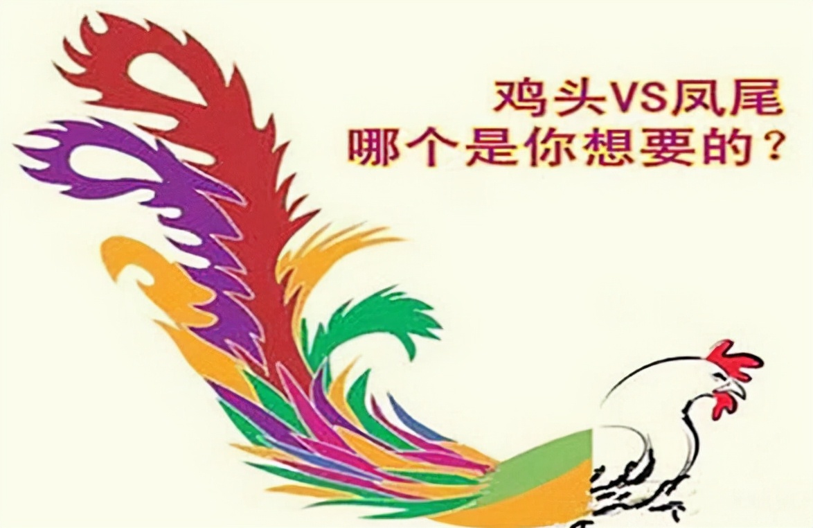 高考后才发现，普通班当鸡头与重点班当凤尾不同，差的不止是成绩