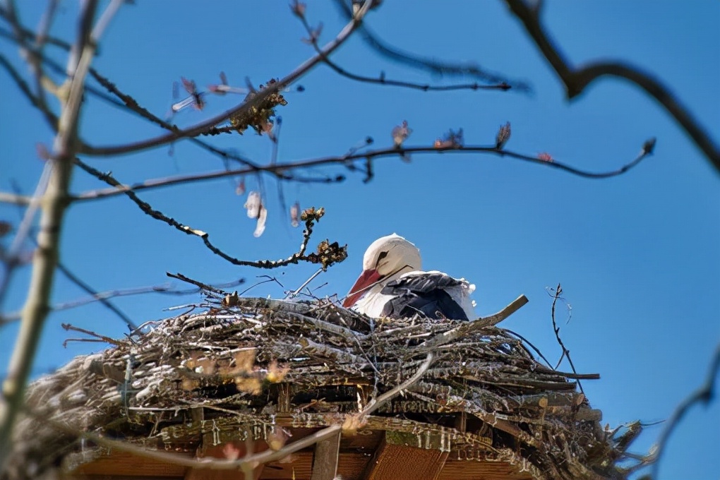 天气真好，阳光温暖