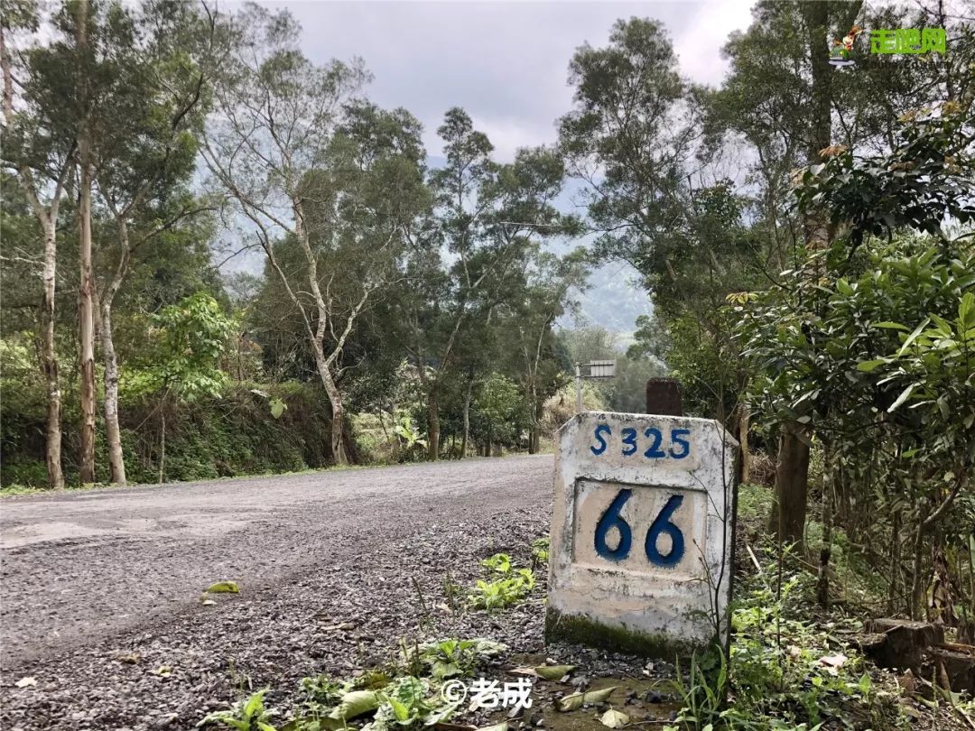 “中国最受欢迎的十大自驾路线”TOP榜，你觉得哪条最当之无愧？