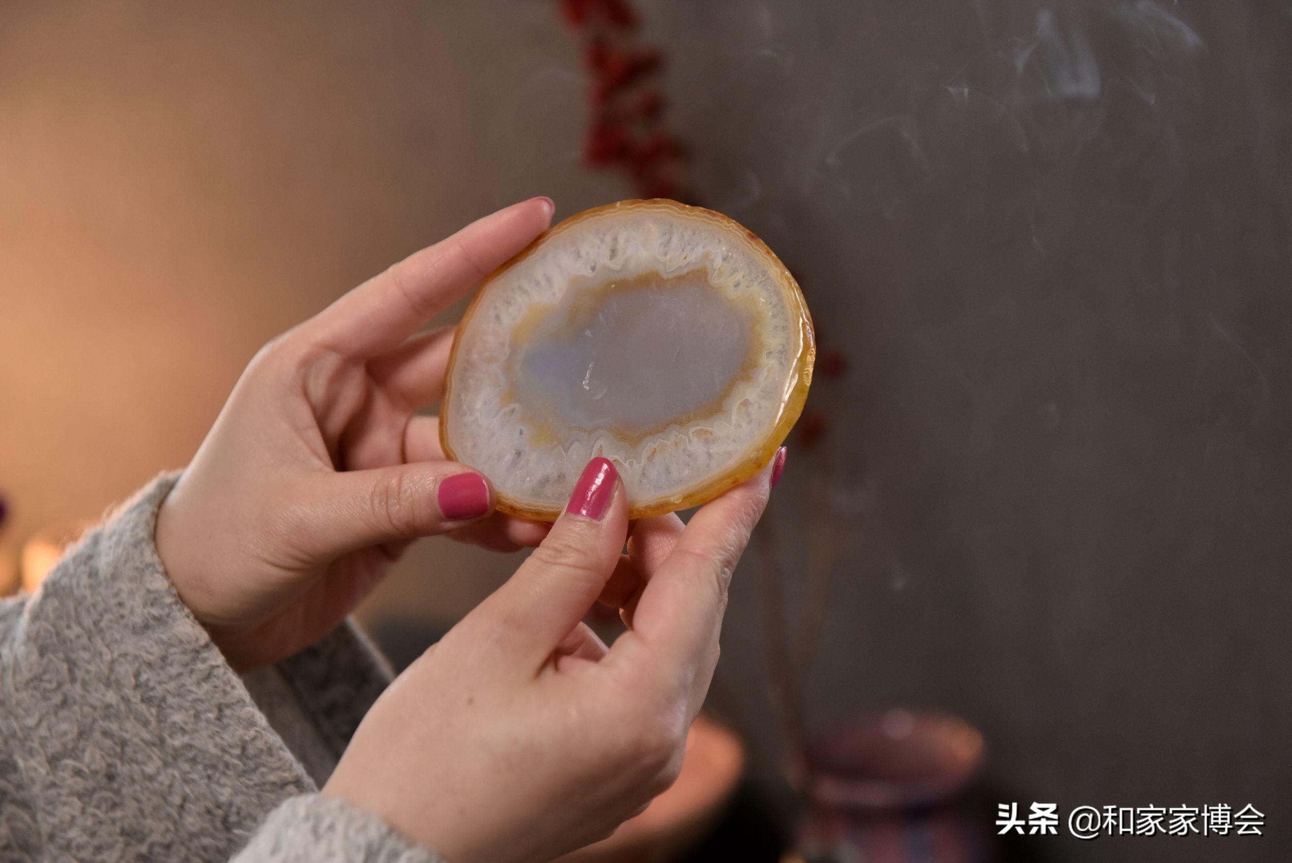 日本女生的“一居室”走红ins，一人一狗的独居生活