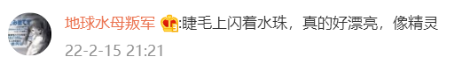 纯欲风鼻祖半藏森林，网友：纯欲风上的天花板！-哪边嗨
