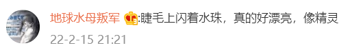 半藏森林刷新纯欲新境界，睫毛带水珠，说比刘亦菲嫩没人反驳吧？