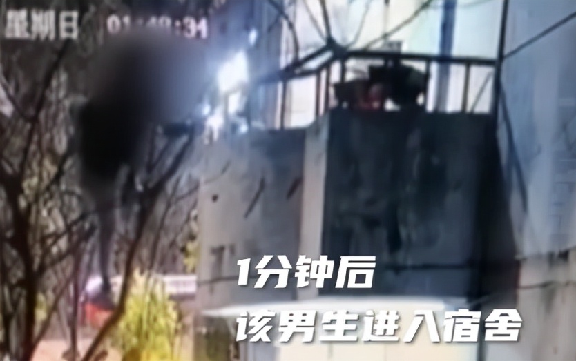 男学生不知廉耻，翻入女寝偷衣服，动作娴熟流畅，可能不是第一次