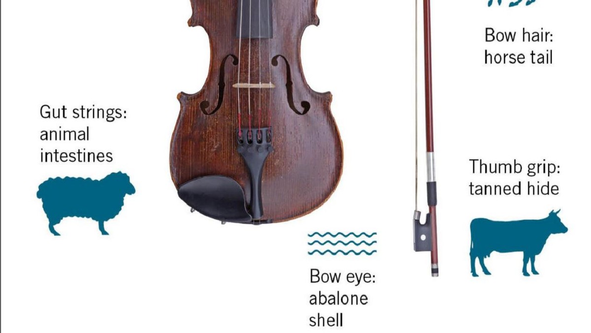 一根琴弦300元，还需要提前预定，究竟是什么样的琴弦那么难买？