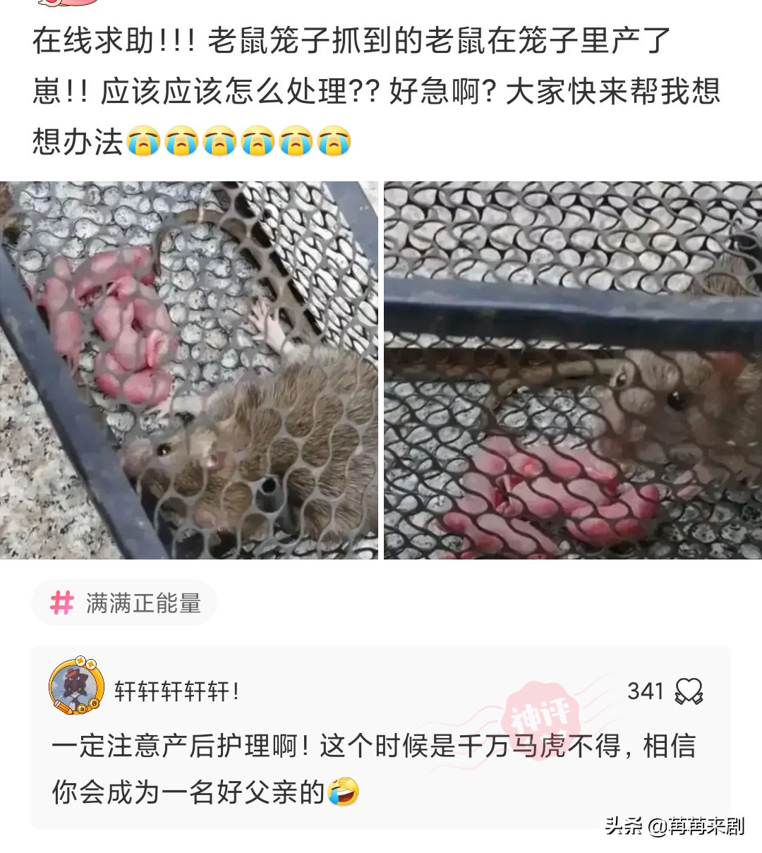 神回复：过生日如何低调优雅的发朋友圈？