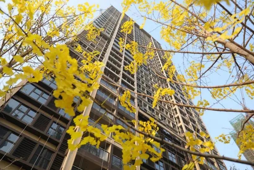 或许这才是当下南京真正值得下手的好房子