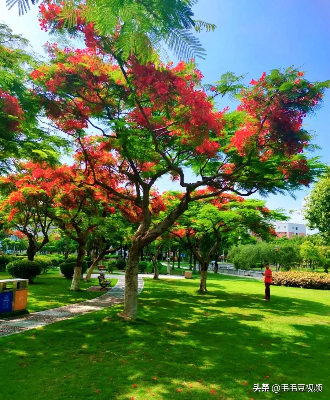 集美杏林有什么好玩的地方啊