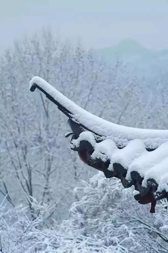 江城子*冬至(八首)