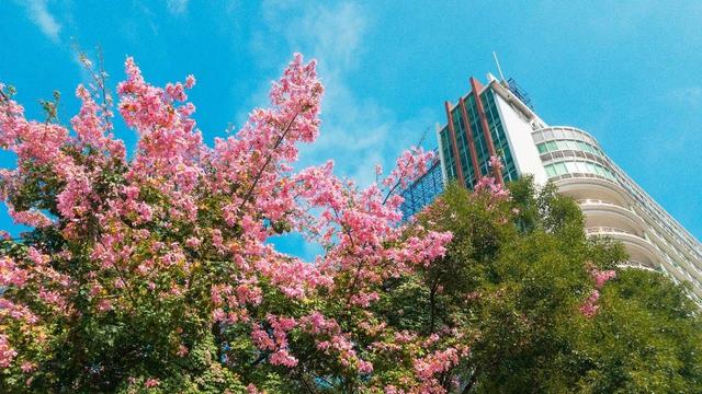 广州市的二本高校，想留在广深的外省考生可以考虑