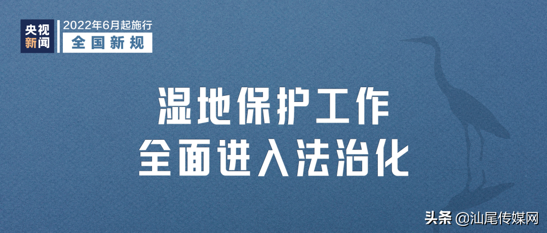 6月起，这些新规将影响你我生活