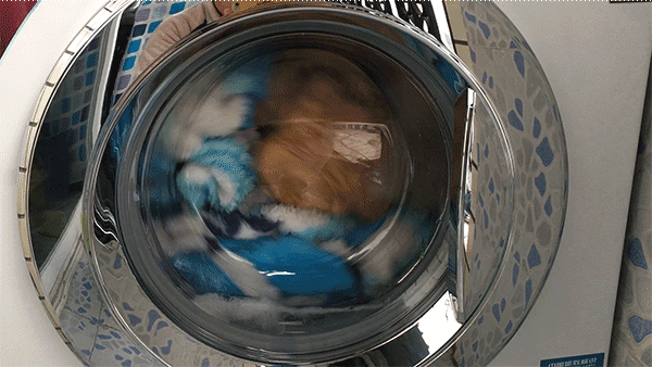 洗衣机内部有多脏？2岁男童掉入洗衣机，肺部留下10种细菌患肺炎