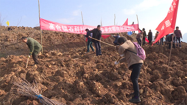 上高山下地头 南郑区农技专家送技术下乡