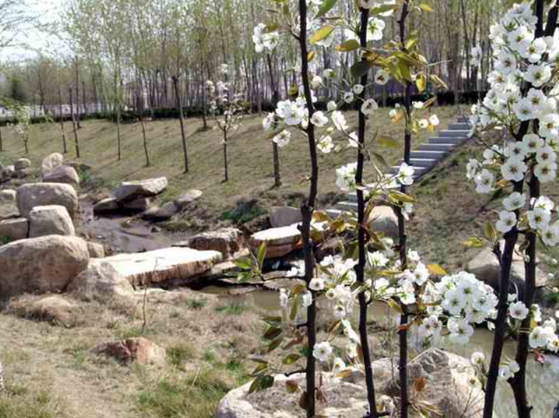 这所来自山东的医学院，临床医学专业招生断档，狂跌6万位