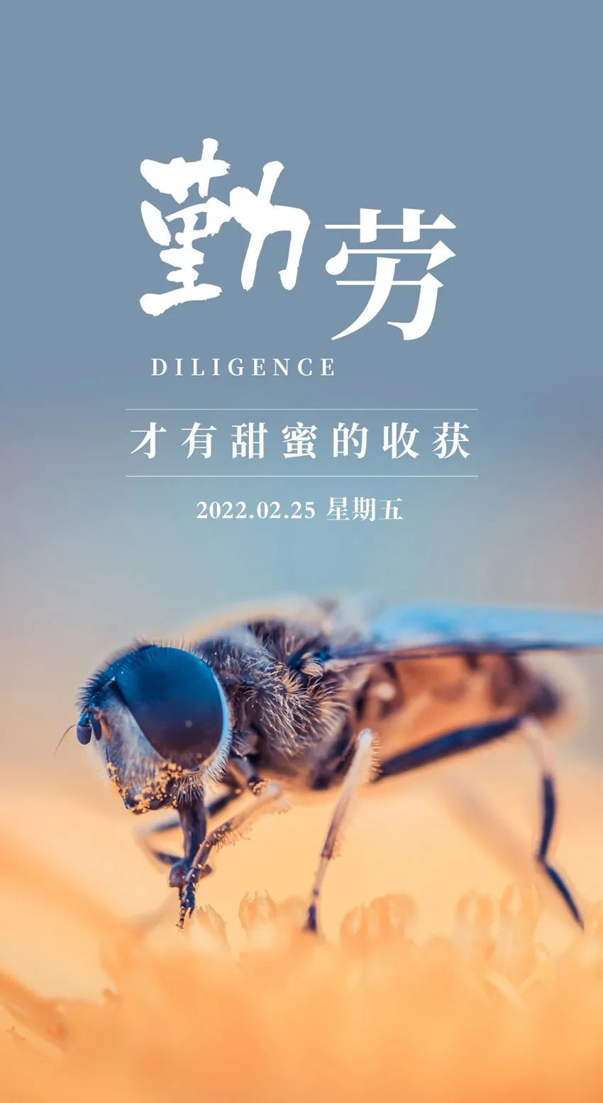 02.25」早安心语,正月二十五正能量人生感悟语录唯美图片