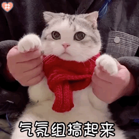 万国觉醒丨视频征集活动启动，记录你的RoK跨年时刻