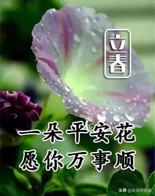 立春，祝福问候早送上，致我的亲人朋友