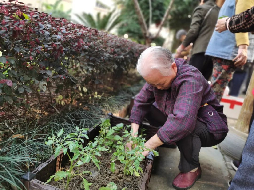 春暖国德（自理篇）丨不为往事忧，但愿余生笑