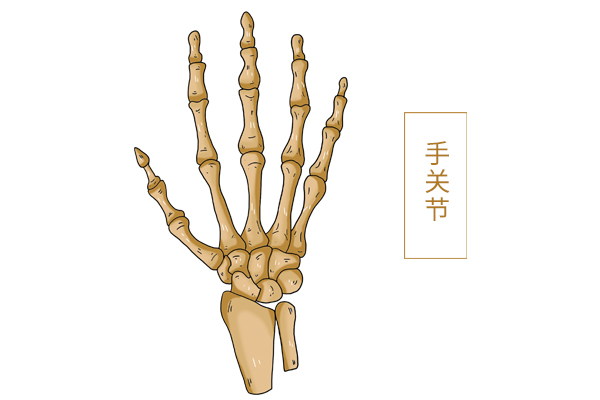 女人坚持佩戴银手镯，对身体有何影响？究竟是好事还是坏事？