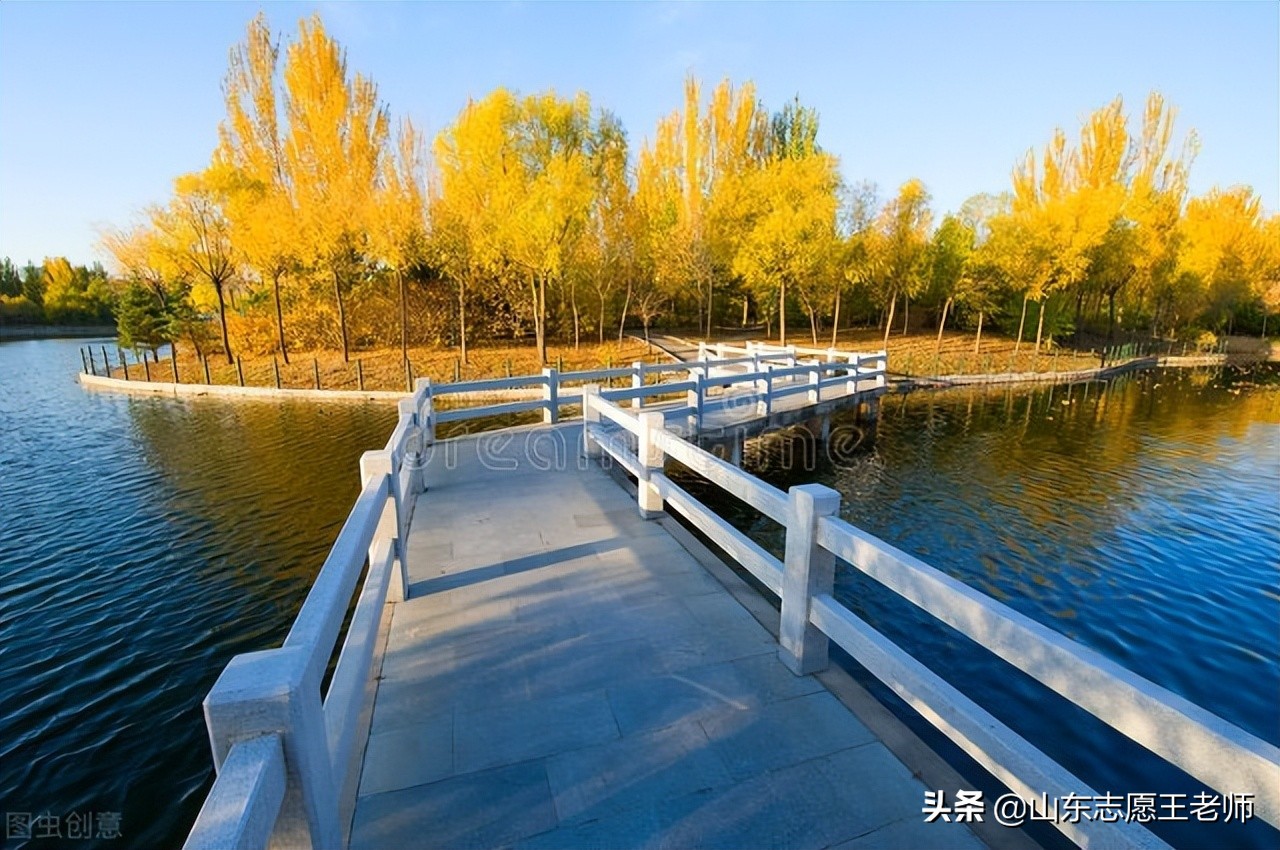 中国石油大学三个校区2021年各专业录取情况（2022考生收藏）