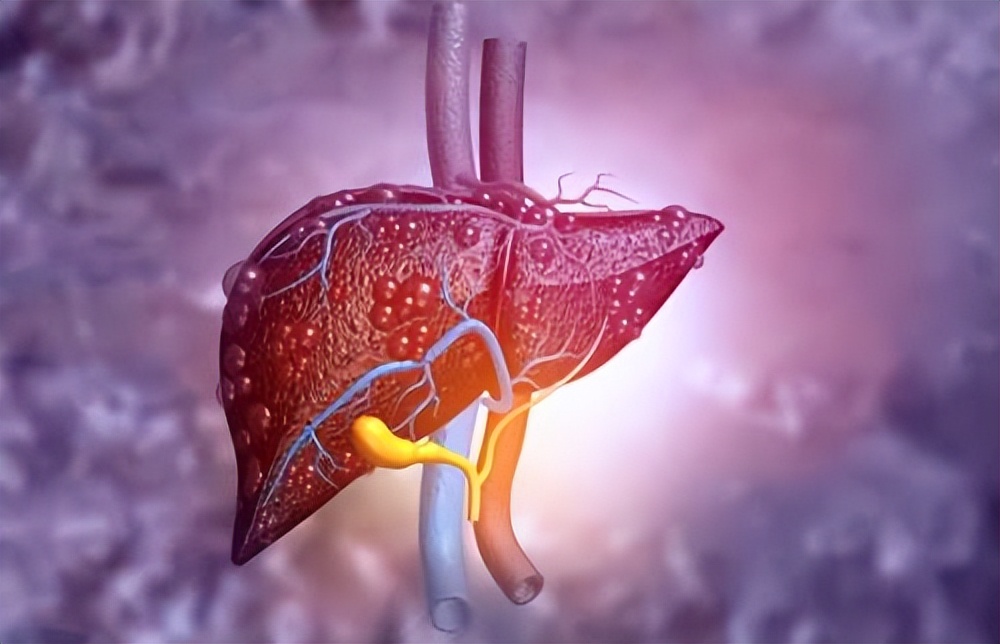 肝脏能够合成蛋白，所以肌肉强肝就好？肝脏功能好不好，如何检查