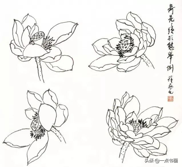 荷花图画 绘画简单（手把手教你画出水墨荷花画）