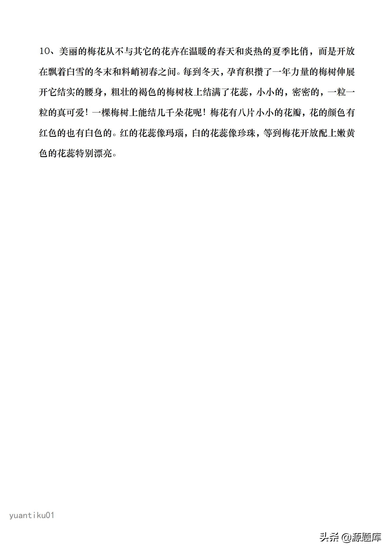 描写梅花的好词好句好段，孩子可以摘抄下来