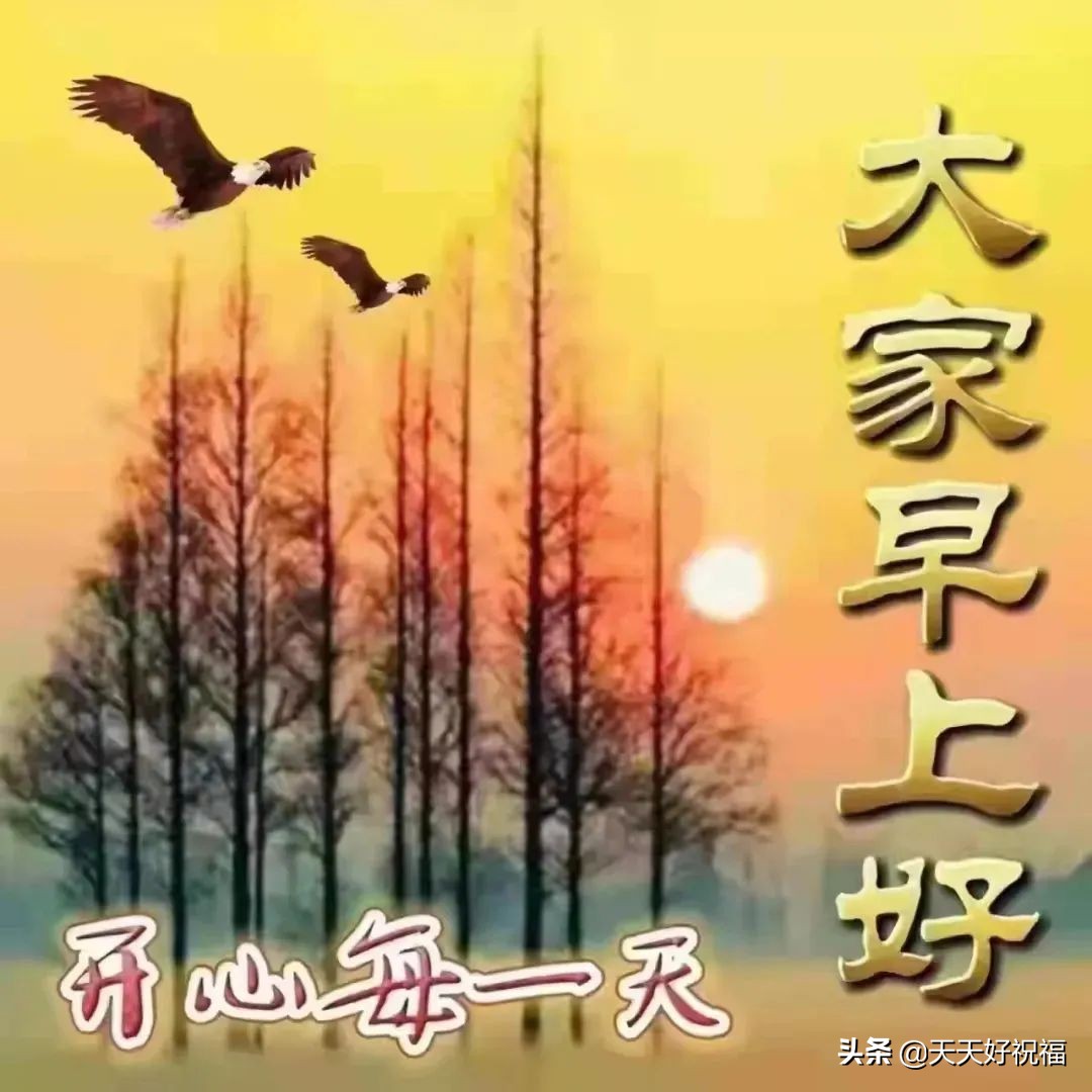 有創意的友情早上好免打字圖片帶祝福語 溫馨的早上好問候圖片精選