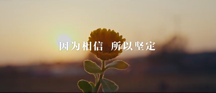 不做中国的谷歌，因为百度更懂中文