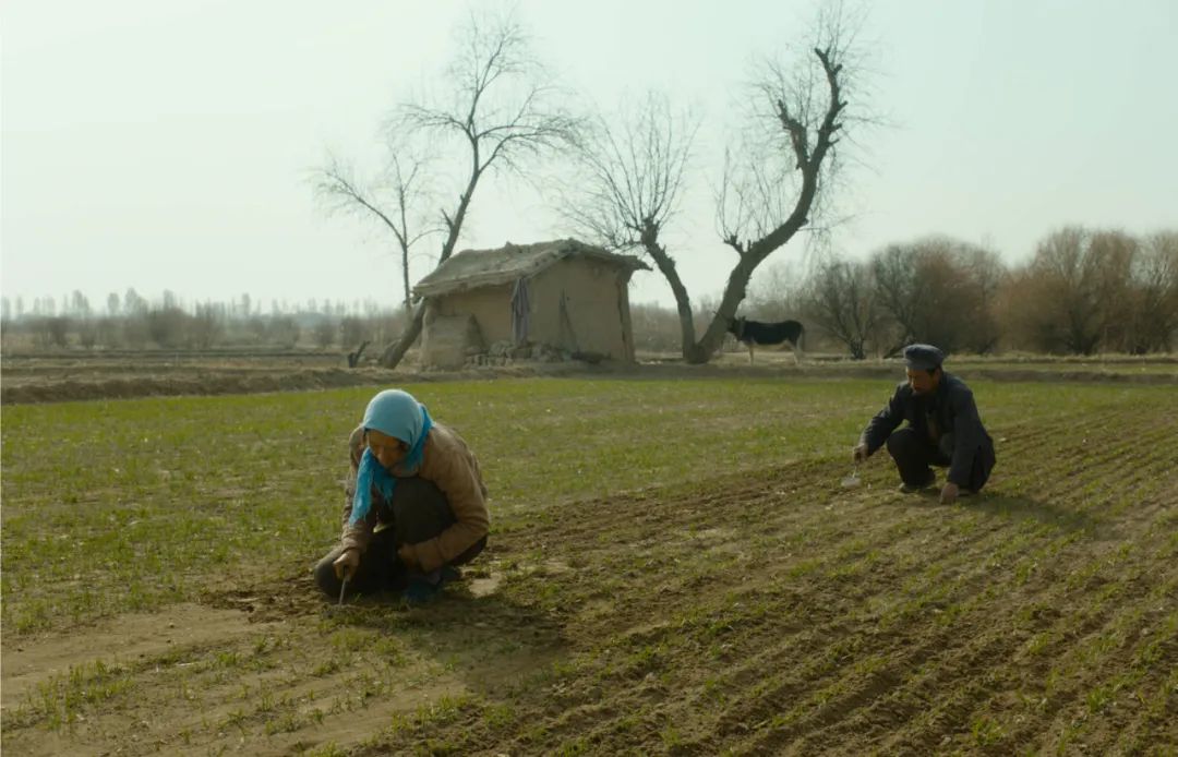 不得不承认这是一部小众的电影，但在影院里会有人自发地为它鼓掌
