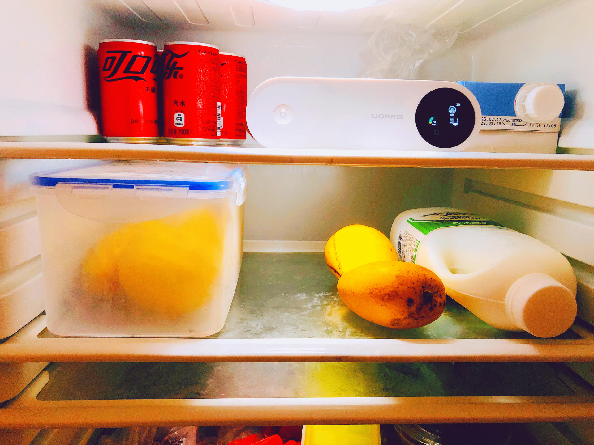 讓老媽熟食別再直接放冰箱，除味除菌還得靠冰箱除味俠