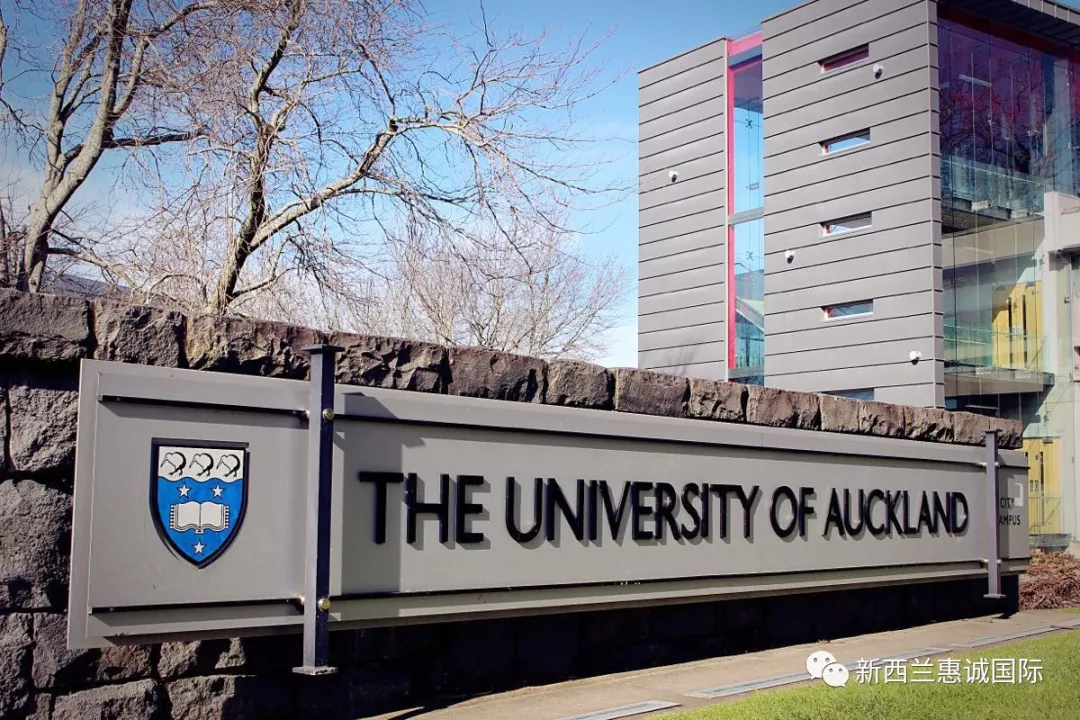 留学｜我本科是会计的怎么选读硕士的专业呀？