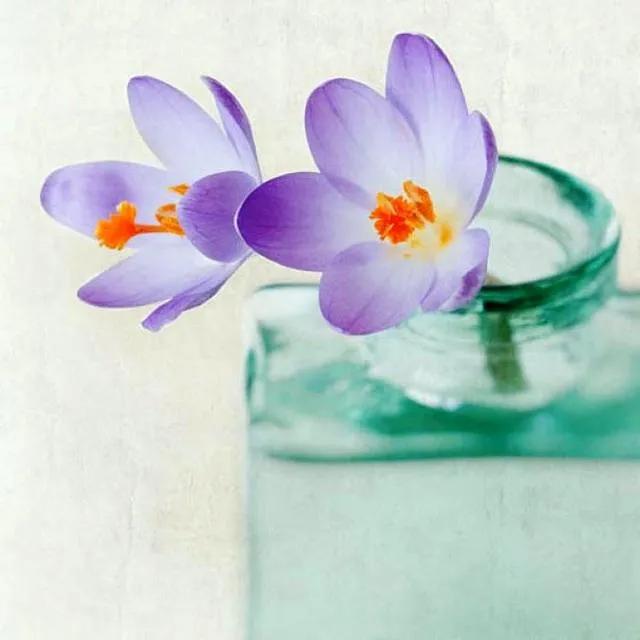 20个禅意至深的句子,心境淡然,人生最高境界的文案