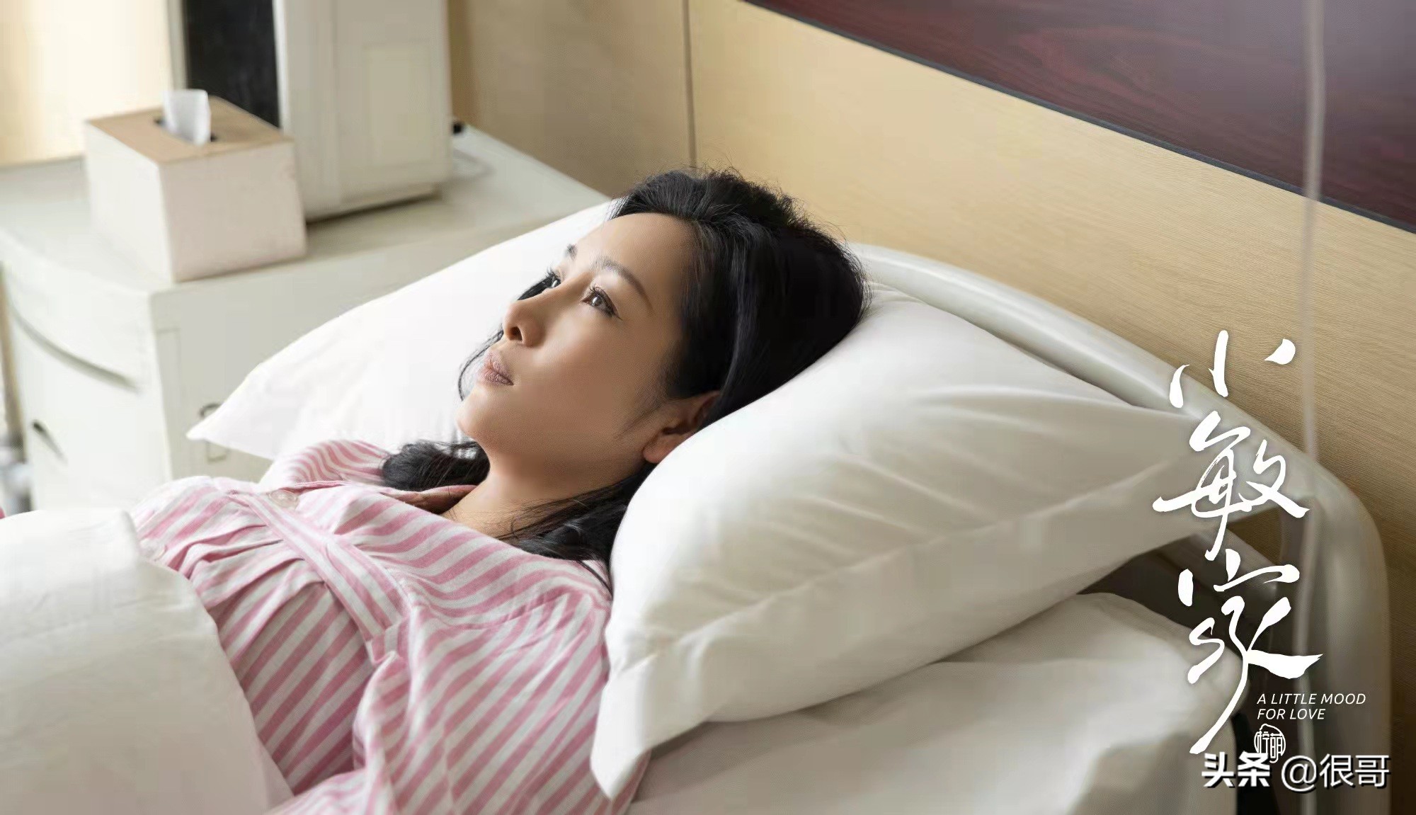 《小敏家》演员学历比拼，黄磊毕业于北电，周迅和董卿是校友