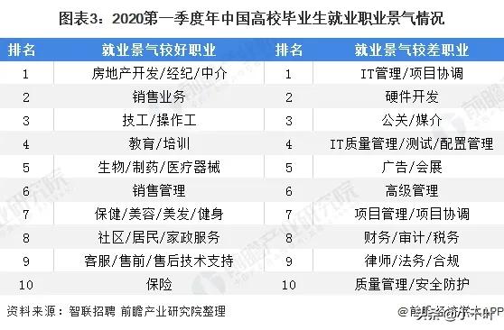 当代中国大学生就业市场现状与竞争格局分析