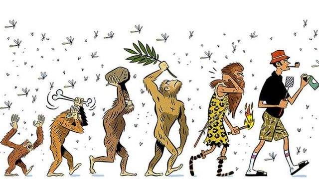 ���42���꣬���ֳ����͡��������򡱣���ѧ�ҵ��Ǵ��ڸ߼�����