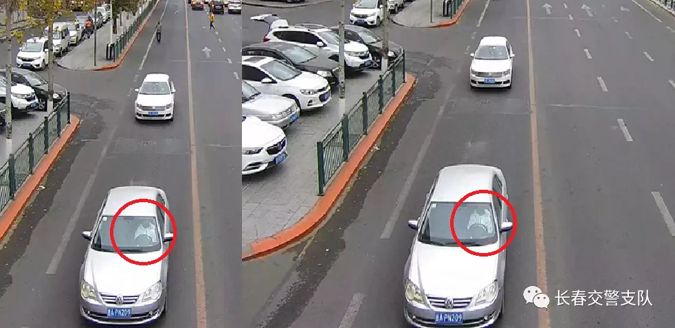 开车系好安全带，一路畅行安全在！丨曝光台