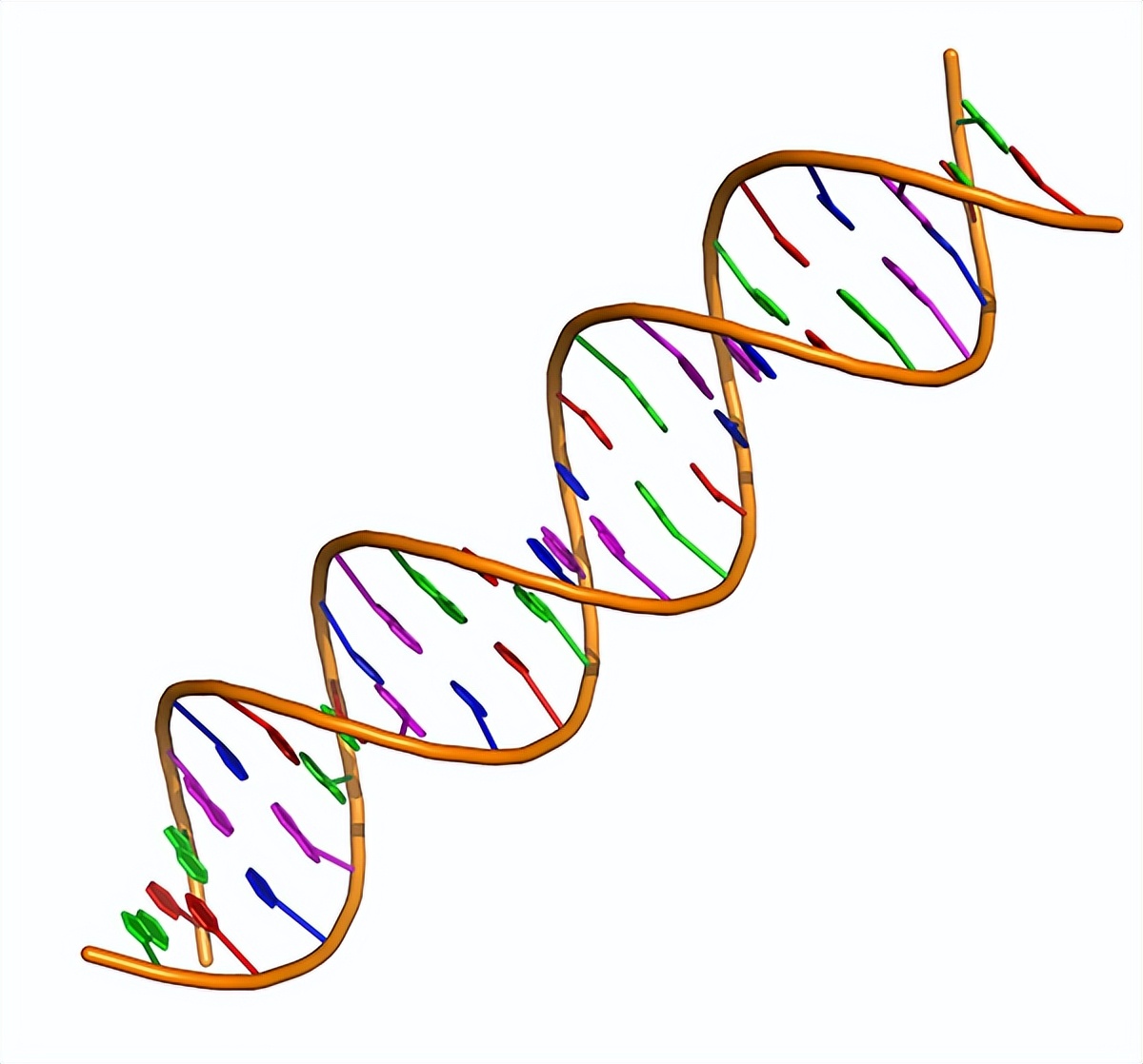 双螺旋——数据存储的未来