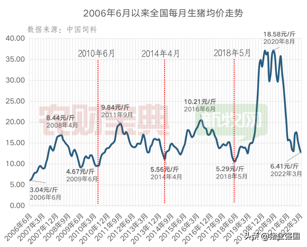 连亏10个月后猪价迎来9连涨