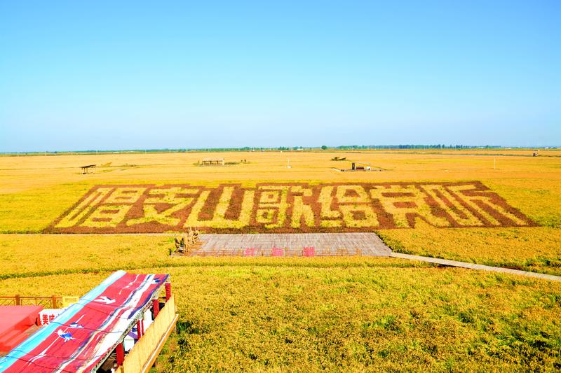 去一个叫：辽宁盘锦的地方
