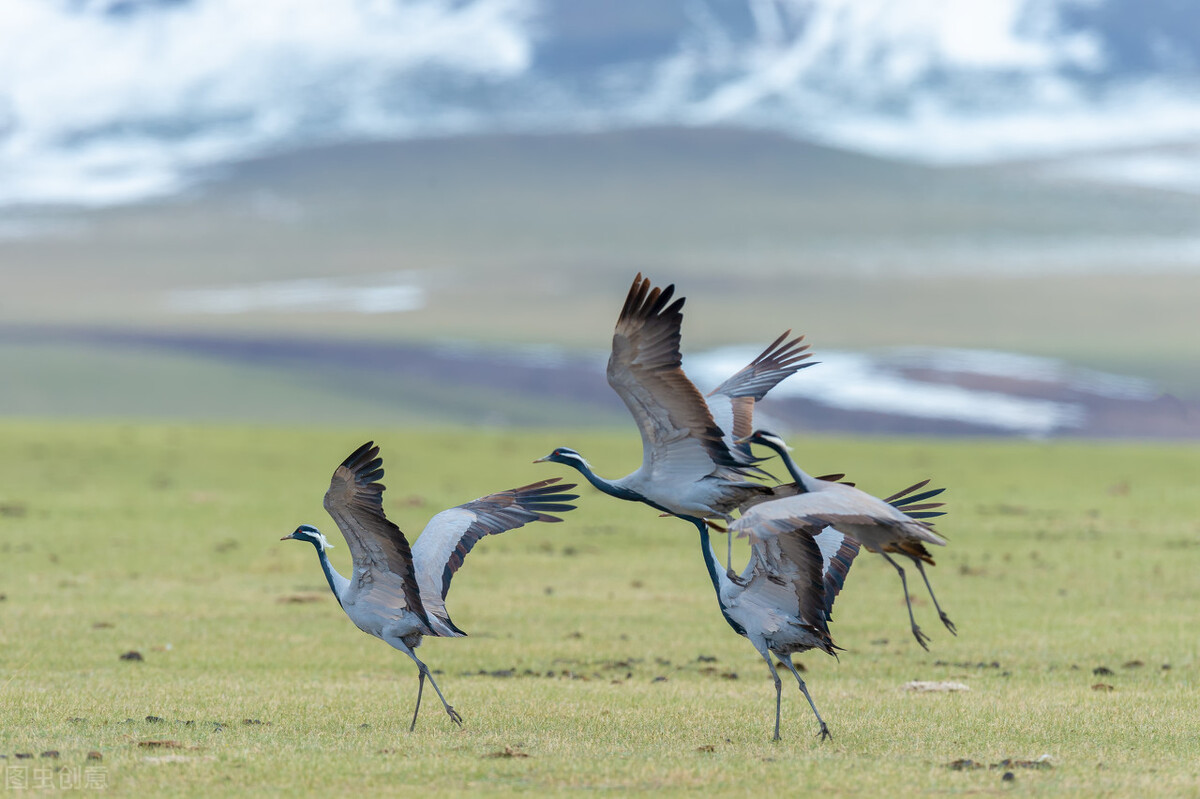 收割一片乡愁，飞向自己的遥远——徐熙玉的诗情心语