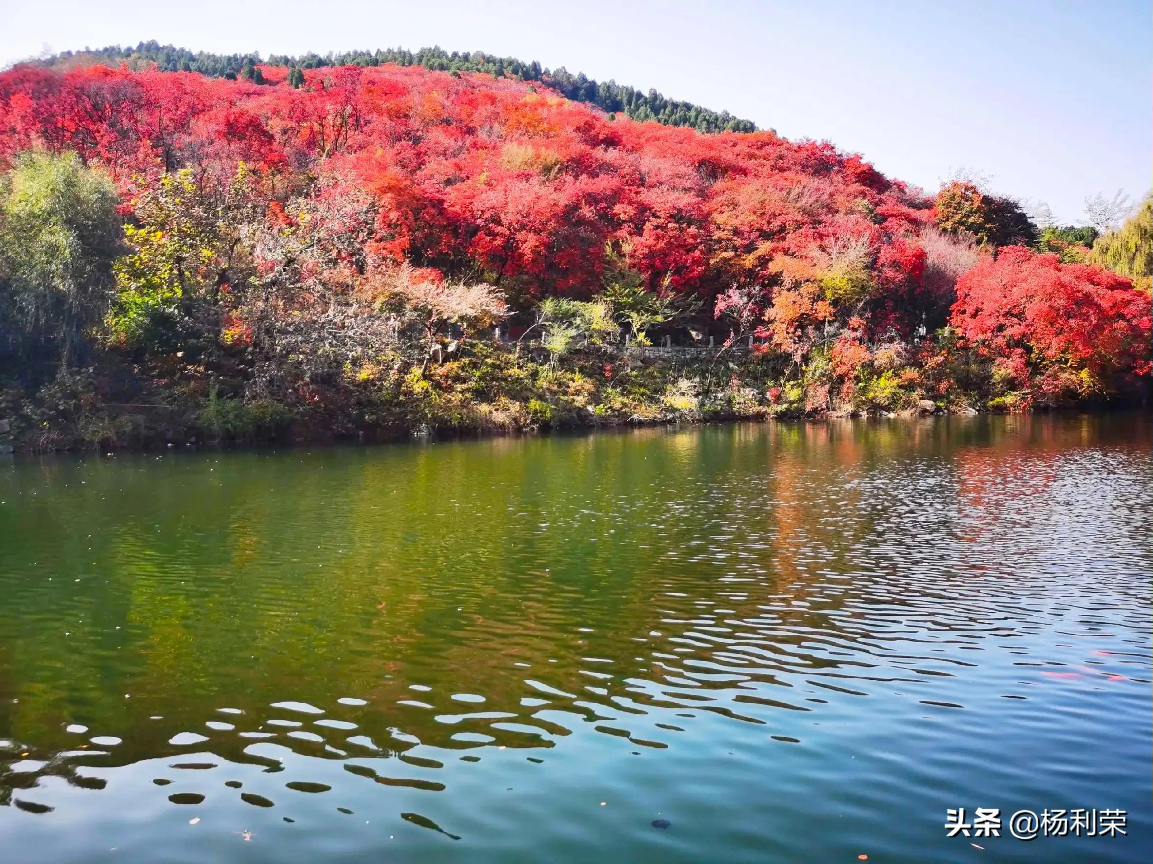 藏头诗50首 感恩师长